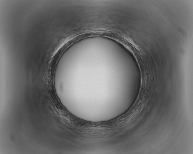 X0000113591256200909181041