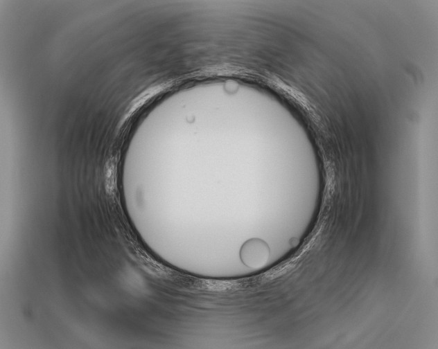 X0000113591258200909181041