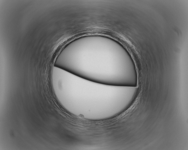 X0000113591259200909181041