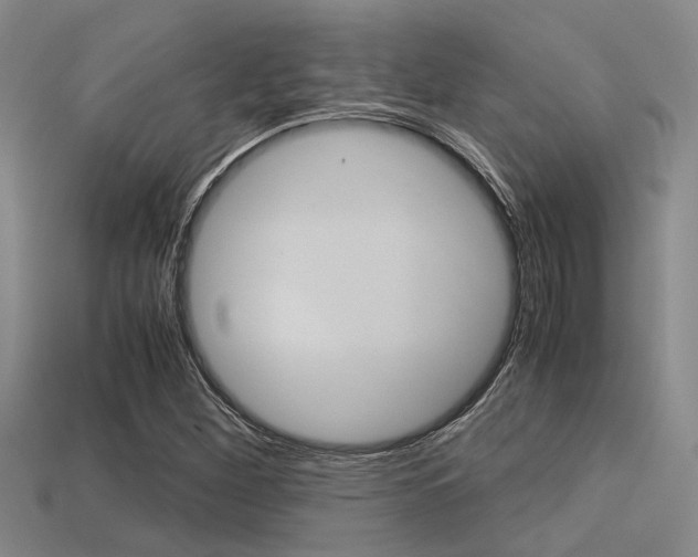 X0000113591260200909181041