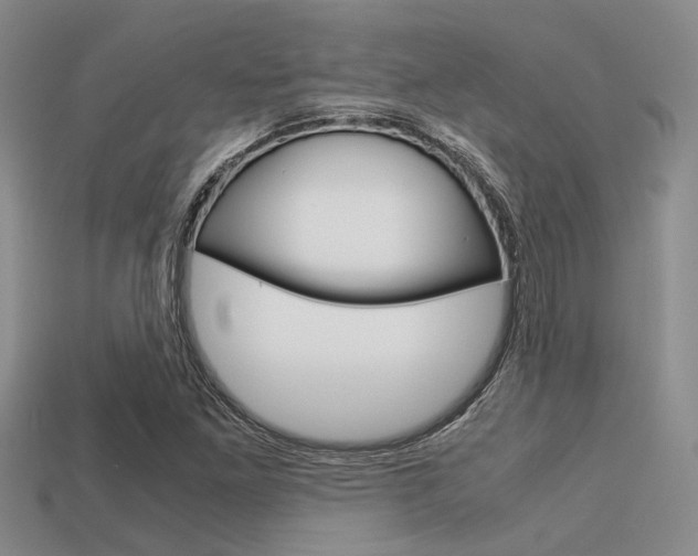 X0000113591261200909181041