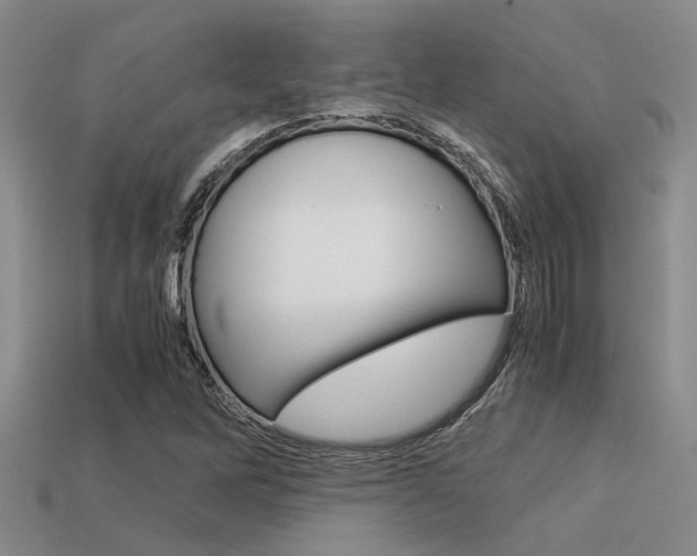 X0000113591262200909181041