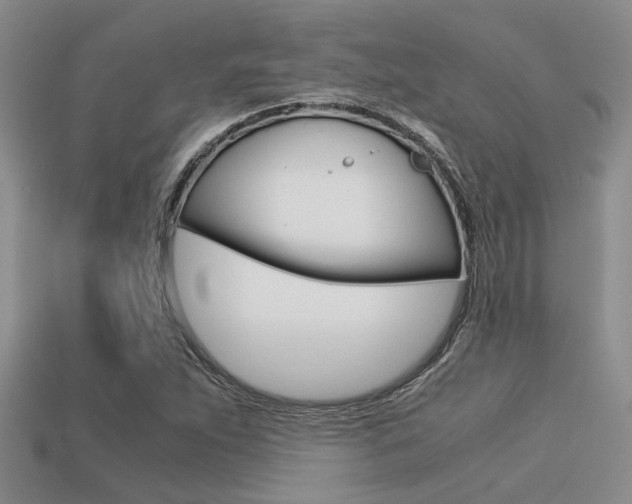 X0000113591263200909181041