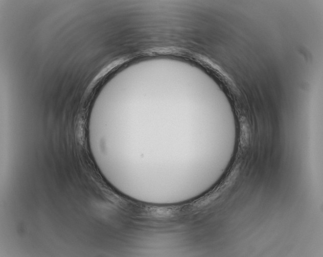 X0000113591266200909181041