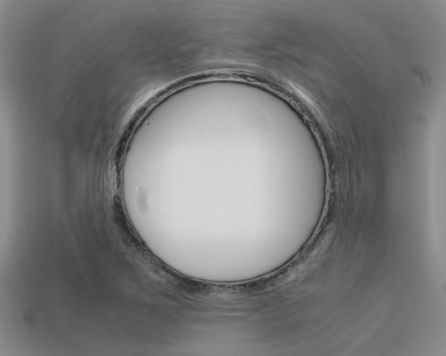 X0000113591267200909181041