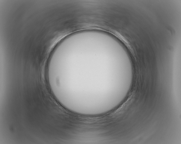 X0000113591269200909181041