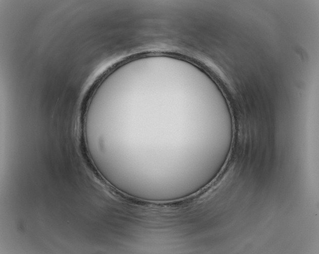 X0000113591270200909181041