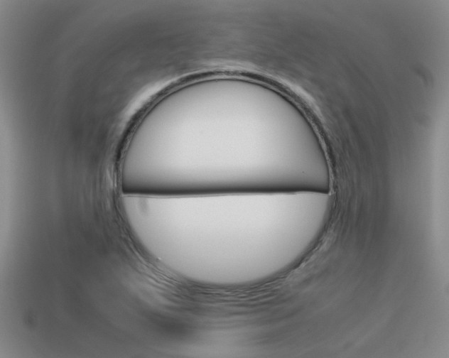X0000113591271200909181041