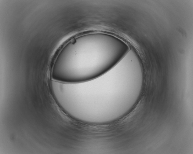 X0000113591272200909181041