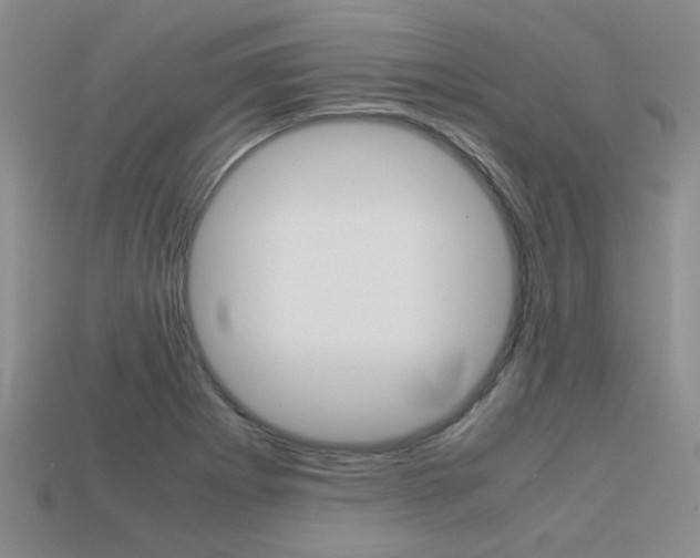 X0000113591273200909181041
