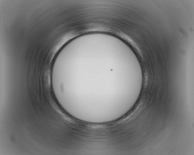 X0000113591274200909181041