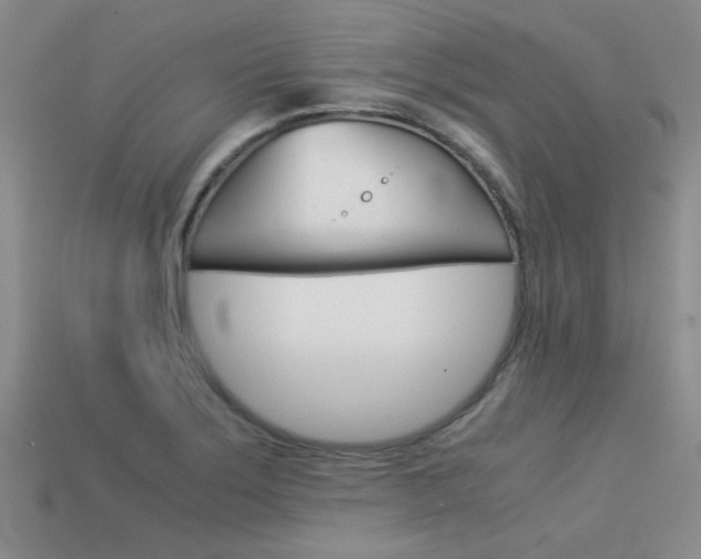 X0000113591275200909181041