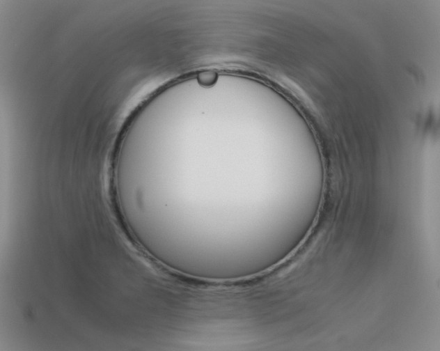X0000113591277200909181040