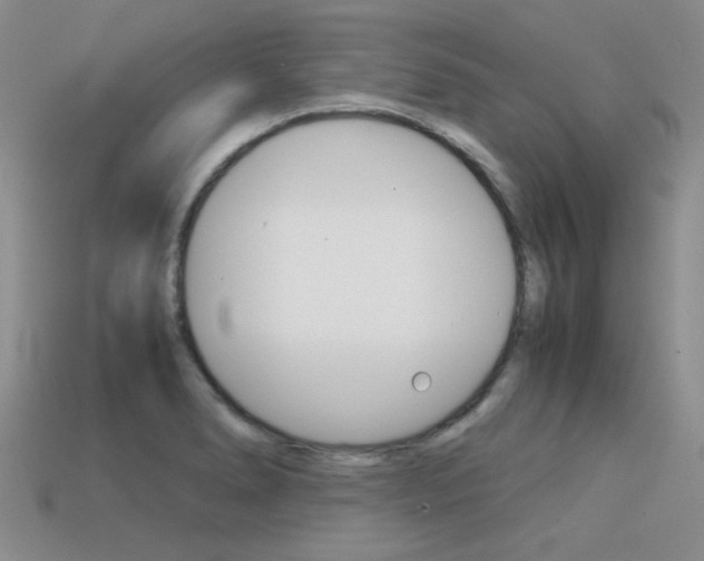X0000113591278200909181040
