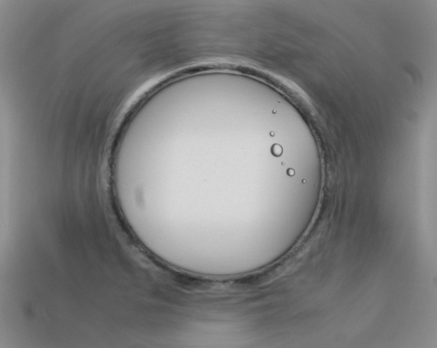 X0000113591279200909181040