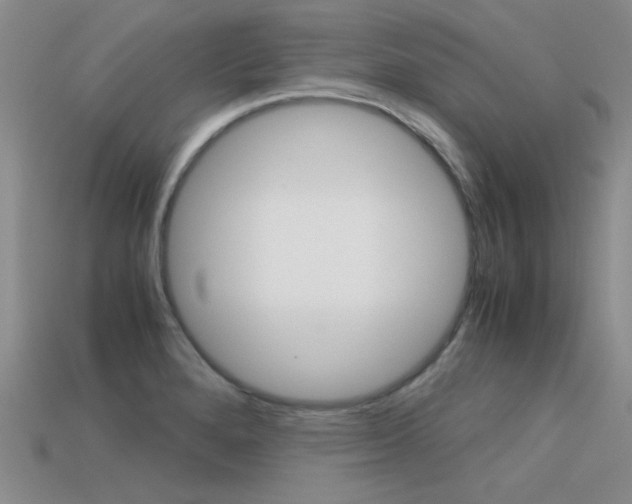 X0000113591280200909181040