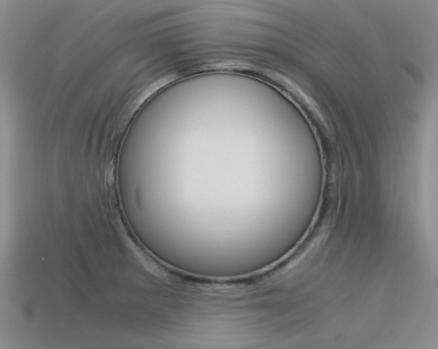 X0000113591281200909181040