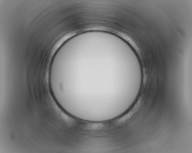 X0000113591282200909181040