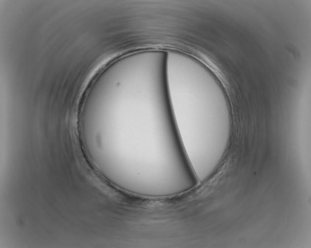 X0000113591283200909181040
