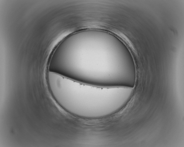 X0000113591285200909181040