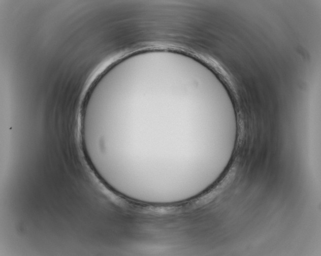 X0000113591286200909181040
