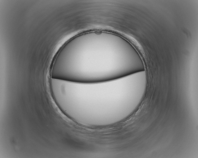 X0000113591287200909181040