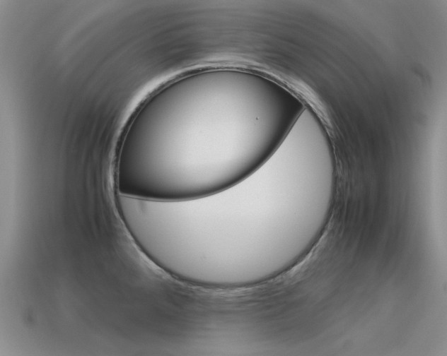 X0000113591288200909181040