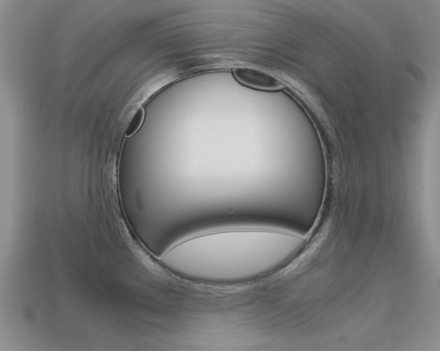 X0000113591289200909181040