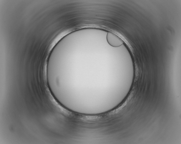 X0000113591290200909181040