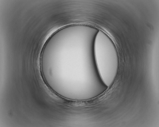 X0000113591291200909181040