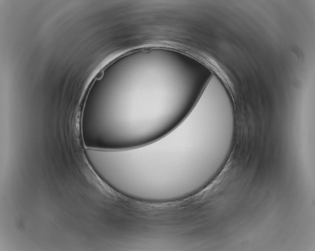 X0000113591292200909181040