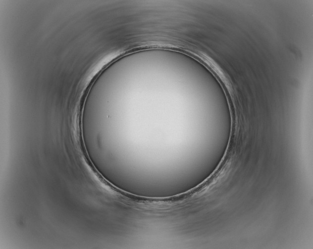 X0000113591293200909181040