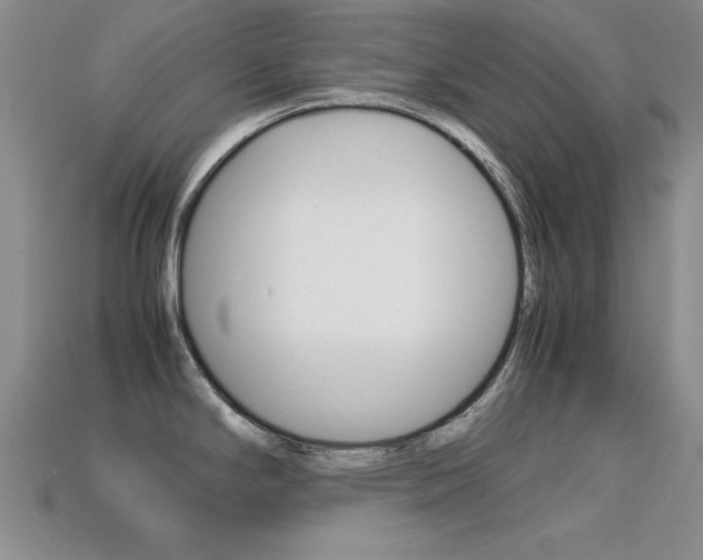 X0000113591294200909181040
