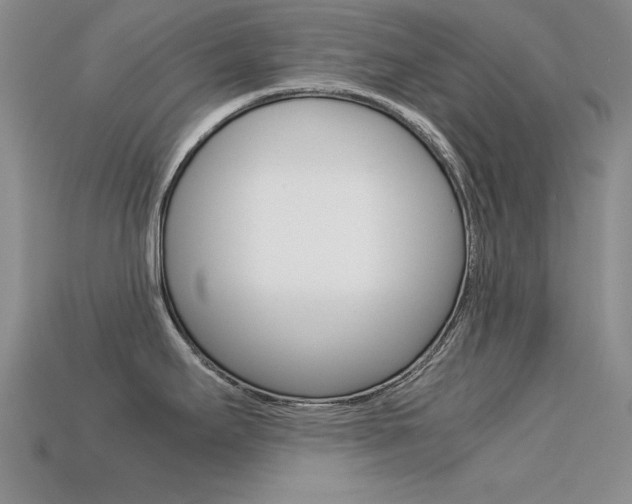 X0000113591295200909181040