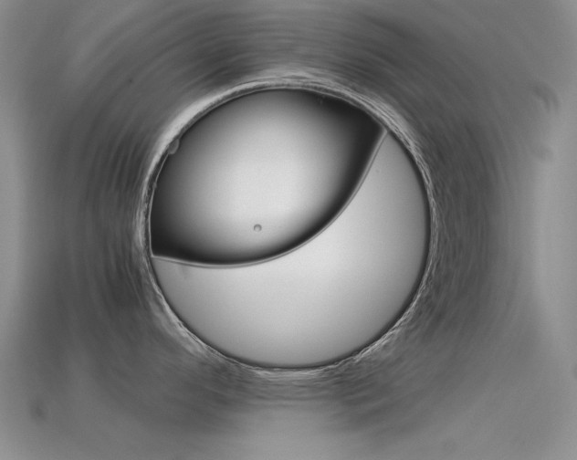 X0000113591296200909181040