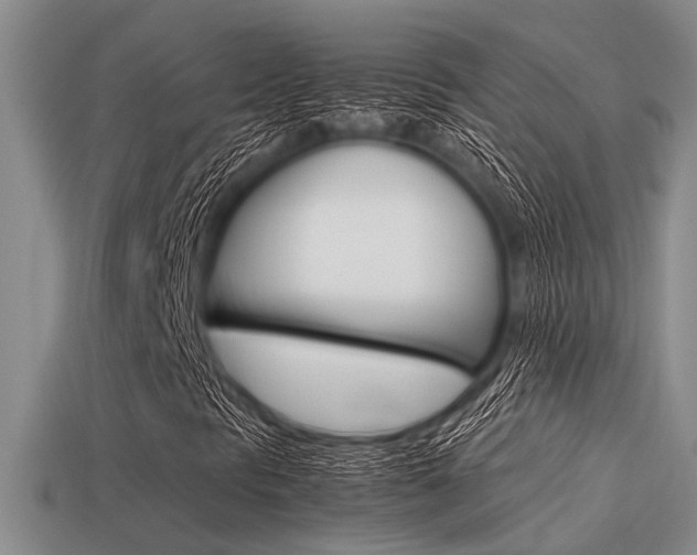 X0000113591297200909181040