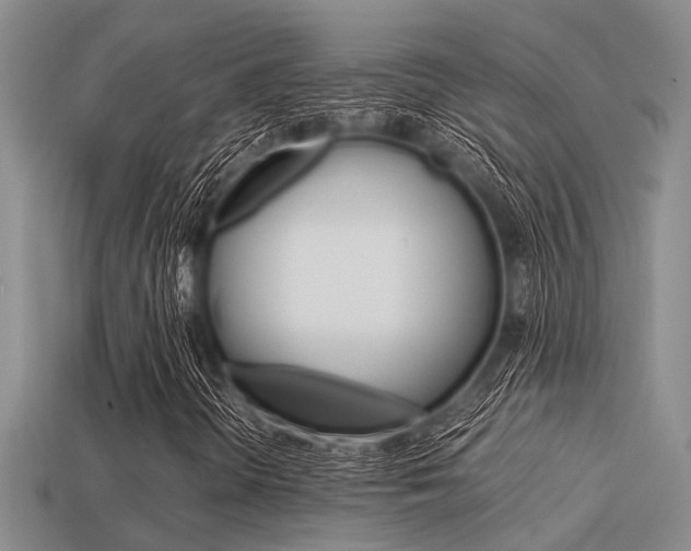 X0000113591298200909181040