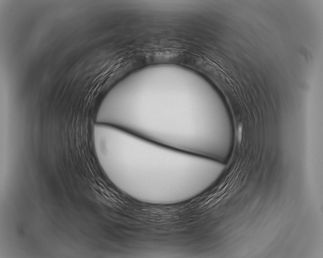 X0000113591299200909181040