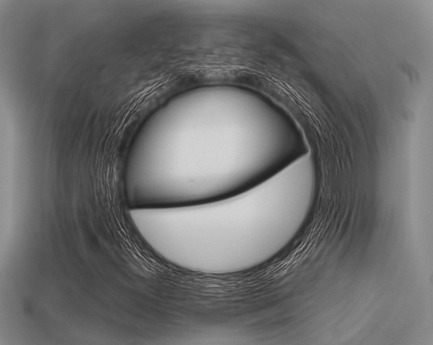 X0000113591300200909181040