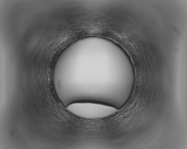 X0000113591301200909181040