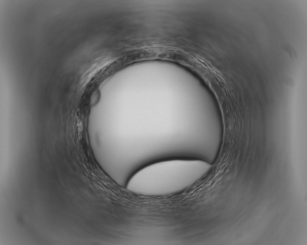 X0000113591302200909181040