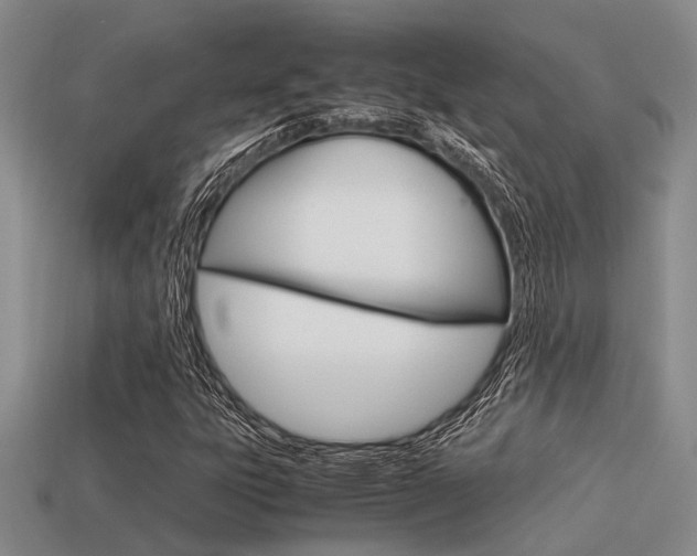 X0000113591303200909181040
