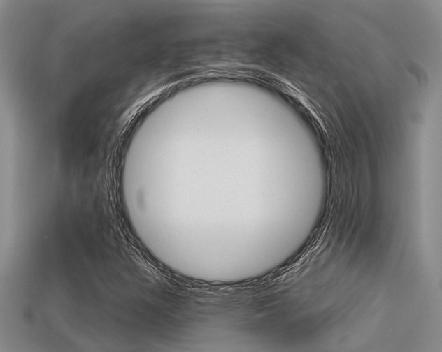 X0000113591304200909181040