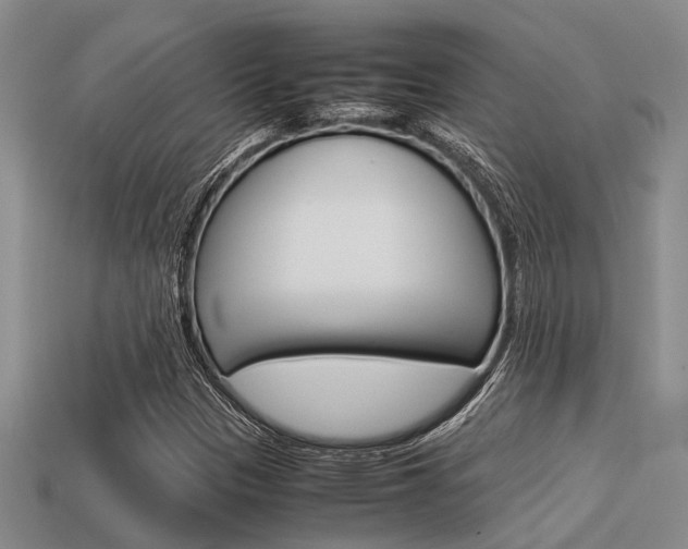 X0000113591305200909181040