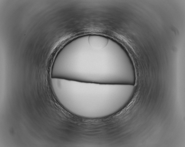 X0000113591307200909181040