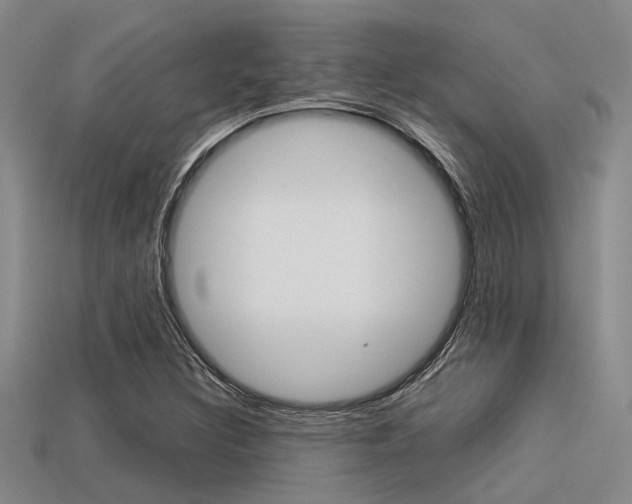 X0000113591308200909181040