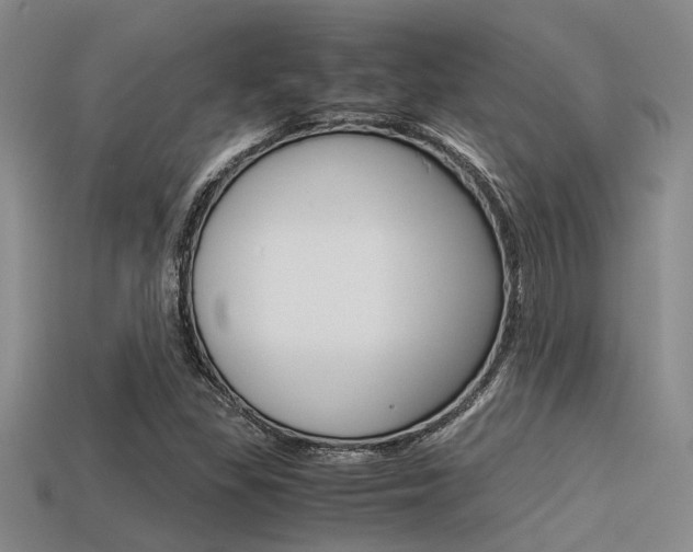 X0000113591309200909181040