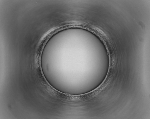 X0000113591310200909181040