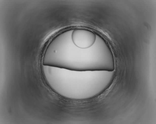 X0000113591311200909181040