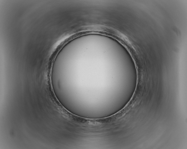 X0000113591312200909181040